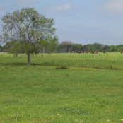 Jan Hine's photo