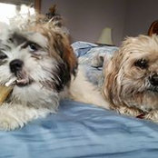 Heather Waddingham's photo