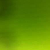 Marwa Elrayes's photo