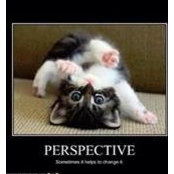 Sarah Keif's photo