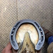 Russell Hennig's photo