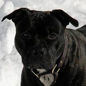 Kerri Picard's photo