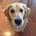 lindsay_ahearn