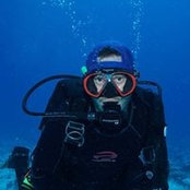 Andrew Harris's photo