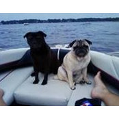 Tammy Janes's photo