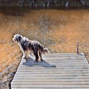 Foto von Corrie Mcleod
