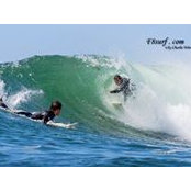Craig Forrest's photo