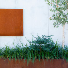 combinations - elements/plants