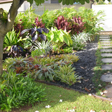 Tropical Oasis
