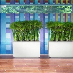 Cararo Premium 75  Lechuza - Indoor Pots And Planters