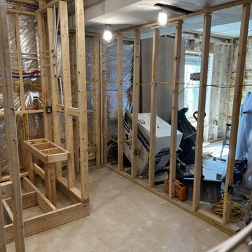 Basement Remodel