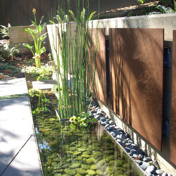 Modern Garden