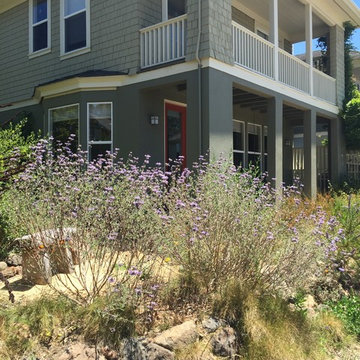Award Winning Habitat Garden