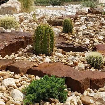 Miscellaneous Cacti & Succulent Landscapes by Rhinamic