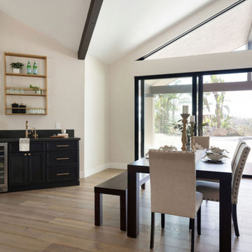 Modern Kitchen Addition