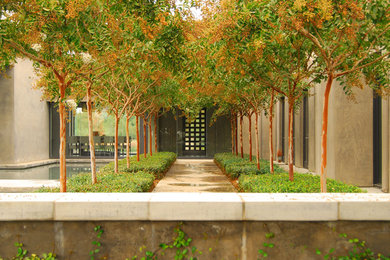 This is an example of a mediterranean landscaping in Other.