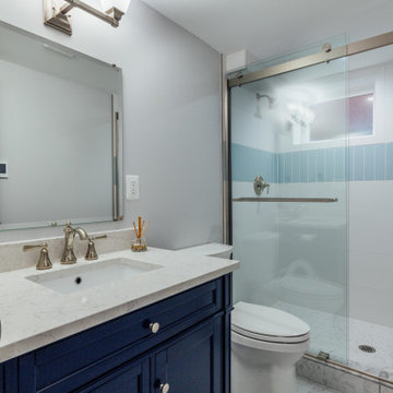 DC Basement Renovation
