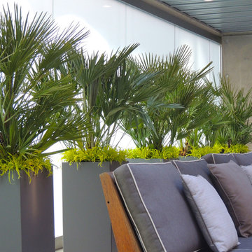 Luxury Lounge
