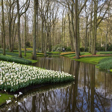 Keukenhof: World's Largest Bulb Garden