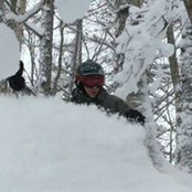 Brian Andersen's photo
