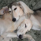 DeeAnne Pike's photo