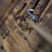 Peter Put's photo