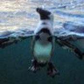 Megan Major's photo