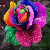 Kimberly Bailey's photo