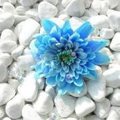 Sakinah Ishmael's photo