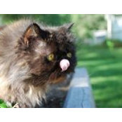 Gail Rohde's photo