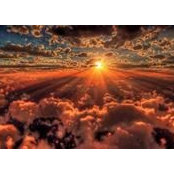 Miranda Moyer's photo