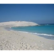 Laila Anwar's photo