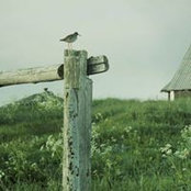 Igor Bekasov's photo