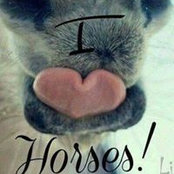Colleen Loomis's photo