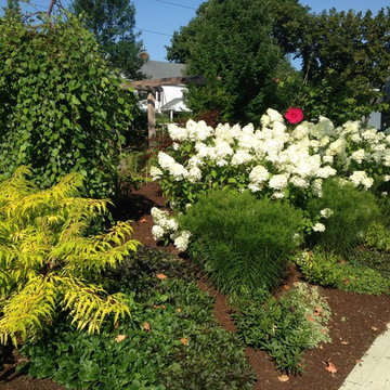 Spectator's delight urban garden