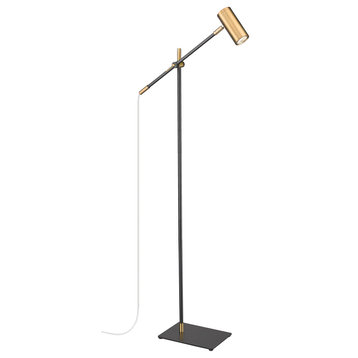 Calumet 1-Light Floor Lamp Light In Matte Black With Olde Brass