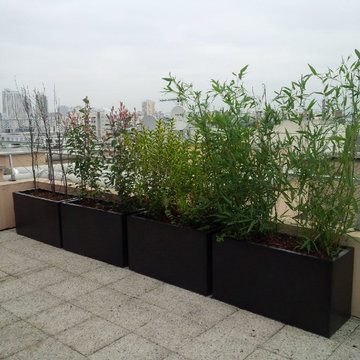 Paris Buttes-Chaumont Rooftop Garden Terrasse sur le toit jardinières Terrace