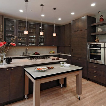 Potomac, Maryland - Contemporary - Kitchen