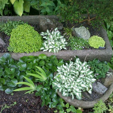 Hypertufa Trough Gardens