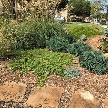 Bermed front yard
