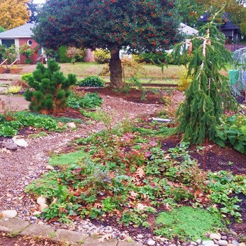 Woodstock Craftsman Cottage Rain Garden