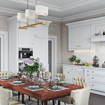Classic House Design 3D Renderings. Kitchen /Hall Interiors