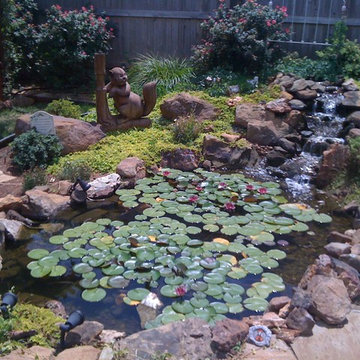 Ecosystem Ponds and Water Gardens By Continental Ponds
