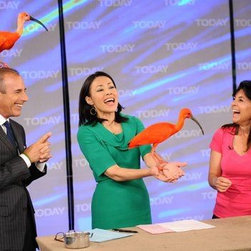 Delia Shades on "The TODAY Show" - Roller Shades