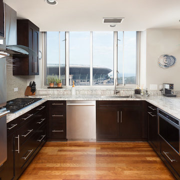 Chicago South Loop Kitchen Remodeling