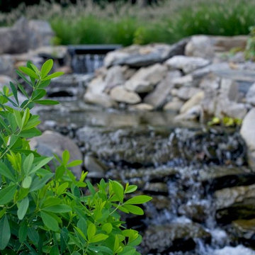 Stream and Koi Pond
