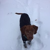 Tim Pollard's photo