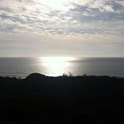 Cindi Fosler's photo