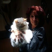 Morgan McGregor's photo
