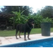 Thor Bruno's photo